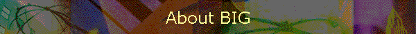 About BIG