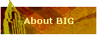 About BIG
