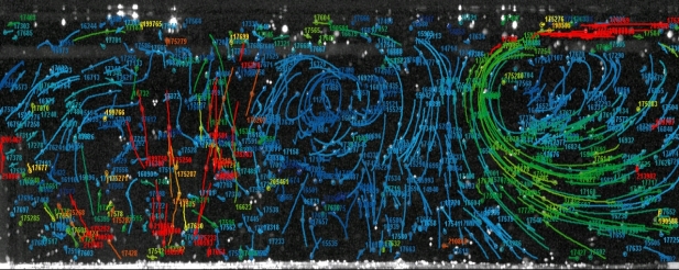 A computer screen with blue and red text

Description automatically generated