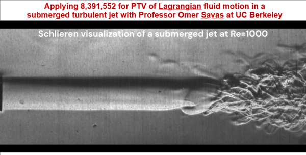 A close-up of a sea creature

Description automatically generated