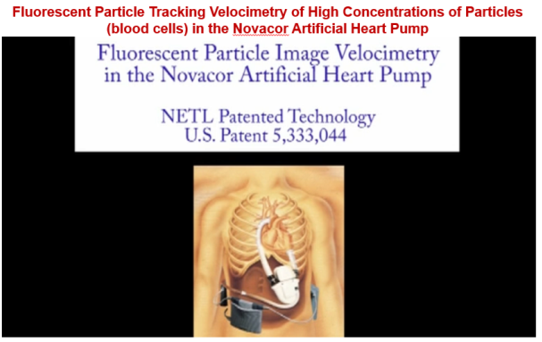 A close-up of a human body

Description automatically generated