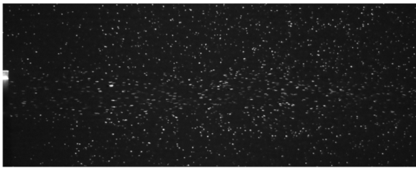 A black background with white dots

Description automatically generated